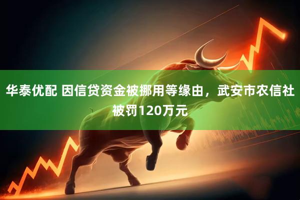 华泰优配 因信贷资金被挪用等缘由，武安市农信社被罚120万元