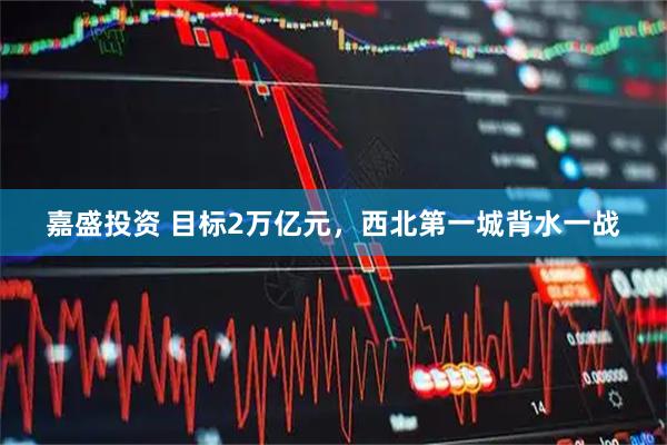 嘉盛投资 目标2万亿元，西北第一城背水一战