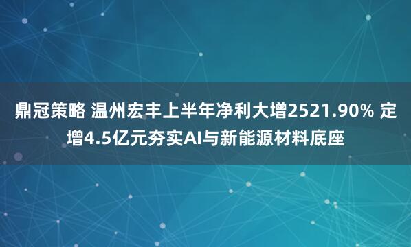 鼎冠策略 温州宏丰上半年净利大增2521.90% 定增4.5亿元夯实AI与新能源材料底座
