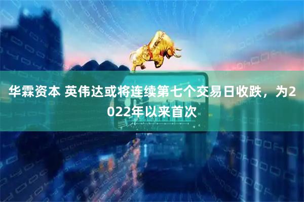 华霖资本 英伟达或将连续第七个交易日收跌，为2022年以来首次